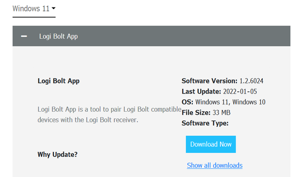 Logi Bolt_download