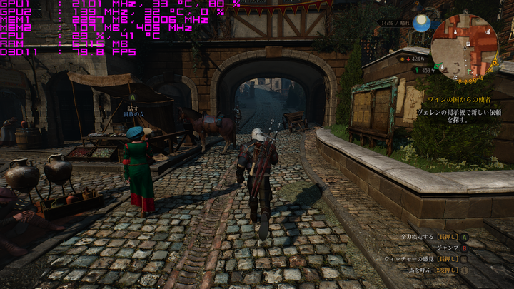 witcher3_2016_06_08_17_47_29_703