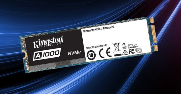 Kingston A1000