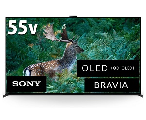 Sony A95L QD-OLED 55インチ (XRJ-55A95L)