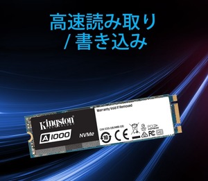 Kingston A1000 (1)