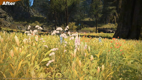 FF14_ver7_Graphic-Update_map_3 (2)