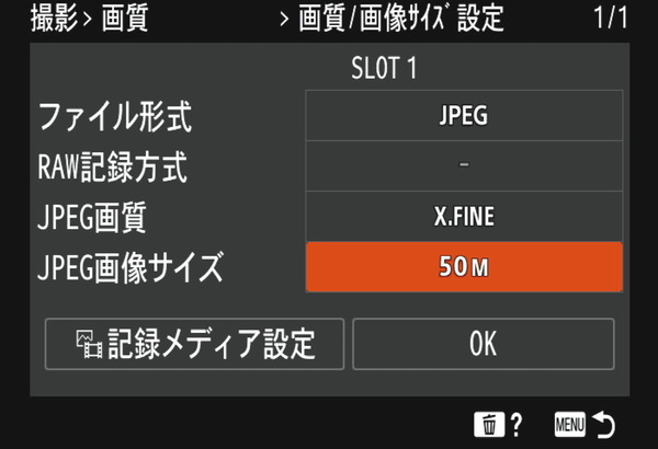 Sony α1_UI_Picture
