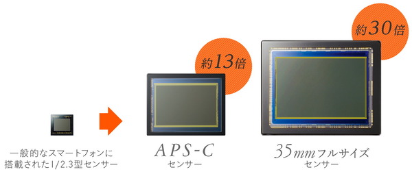 Full-Size-Image-Sensor