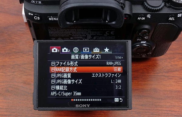 DSC05495_DxO