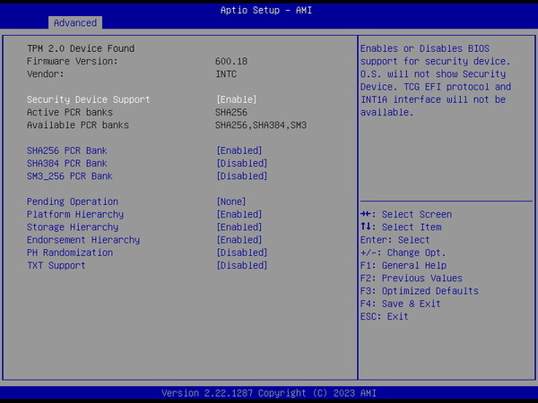 Supermicro X13SWA-TF_BIOS_TPM
