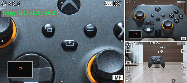 Sony α1_pint-zoom (3)-horz